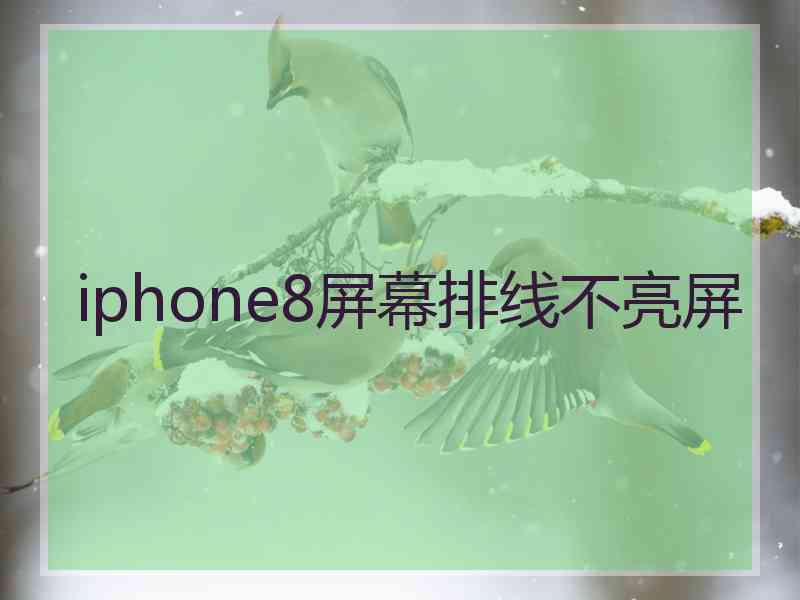 iphone8屏幕排线不亮屏