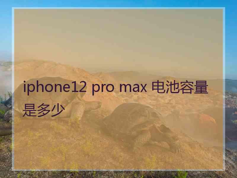 iphone12 pro max 电池容量是多少