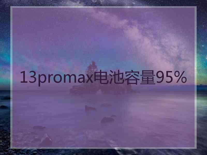 13promax电池容量95%