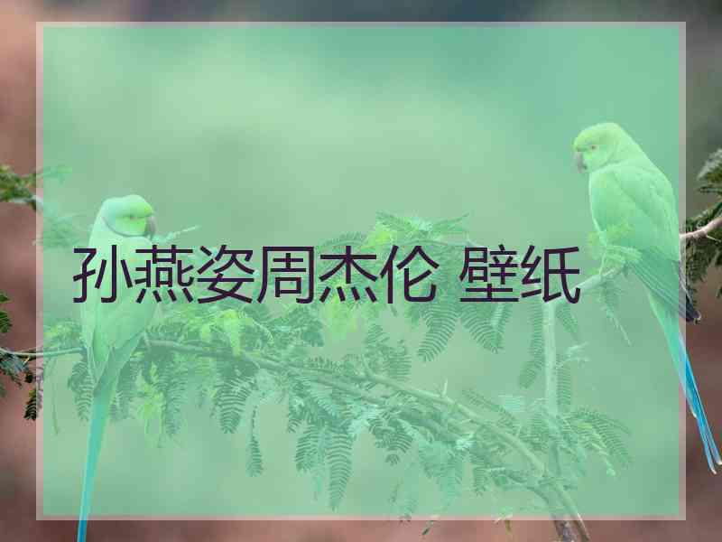 孙燕姿周杰伦 壁纸