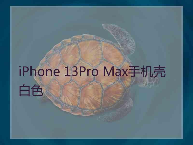 iPhone 13Pro Max手机壳白色