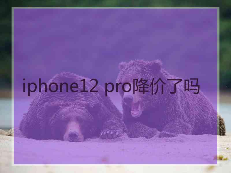 iphone12 pro降价了吗