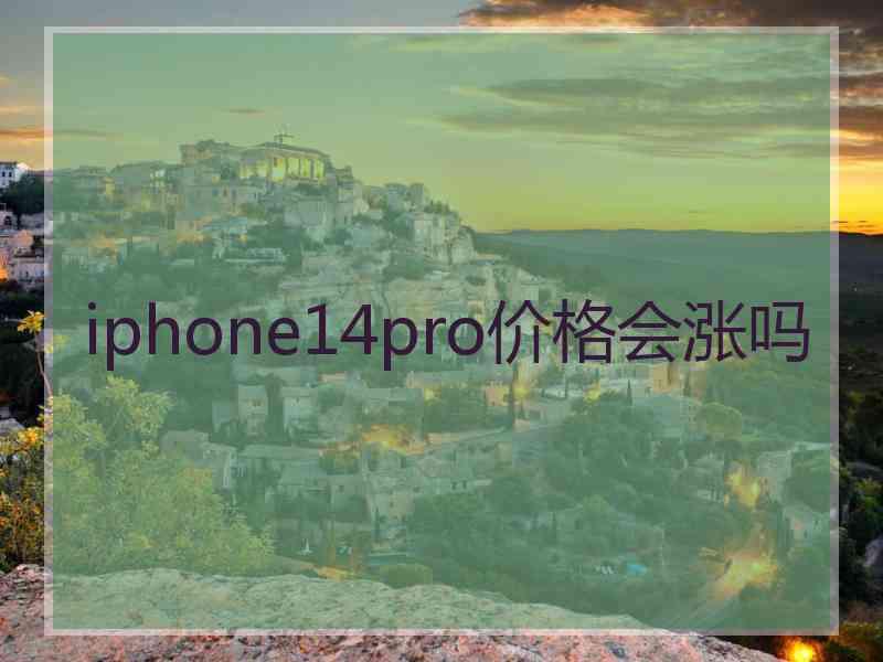 iphone14pro价格会涨吗