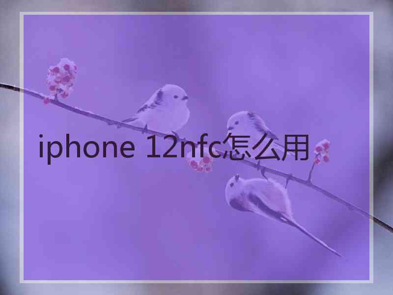 iphone 12nfc怎么用