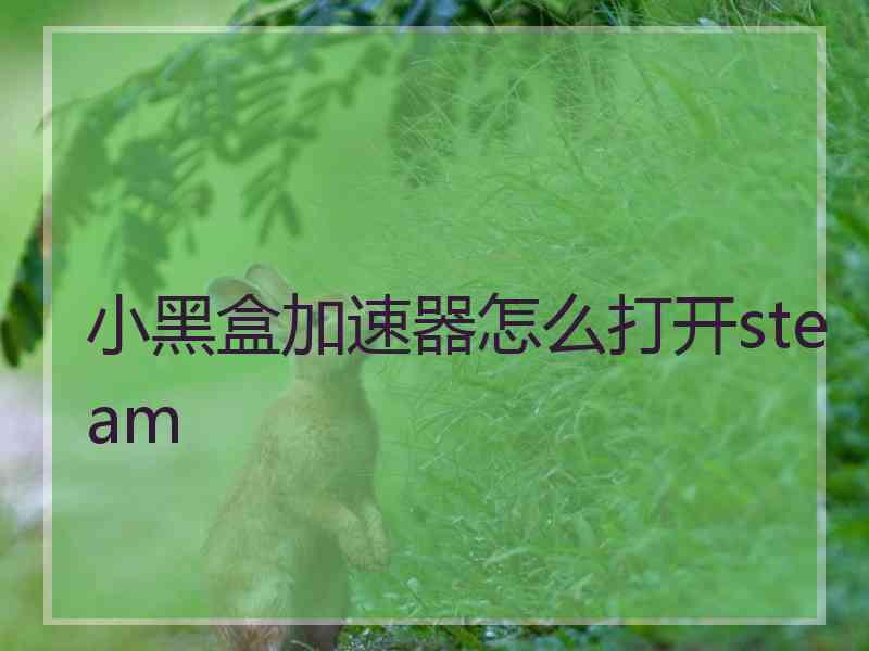 小黑盒加速器怎么打开steam