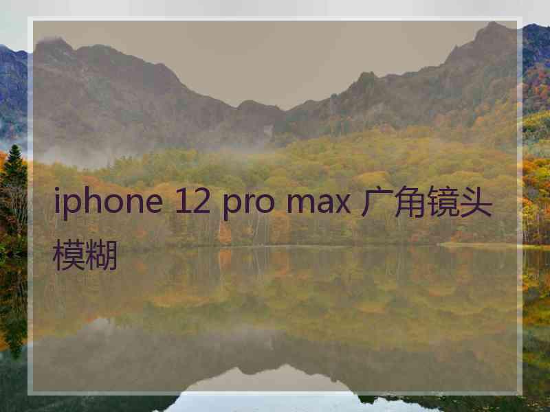 iphone 12 pro max 广角镜头模糊