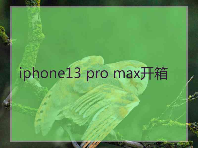 iphone13 pro max开箱