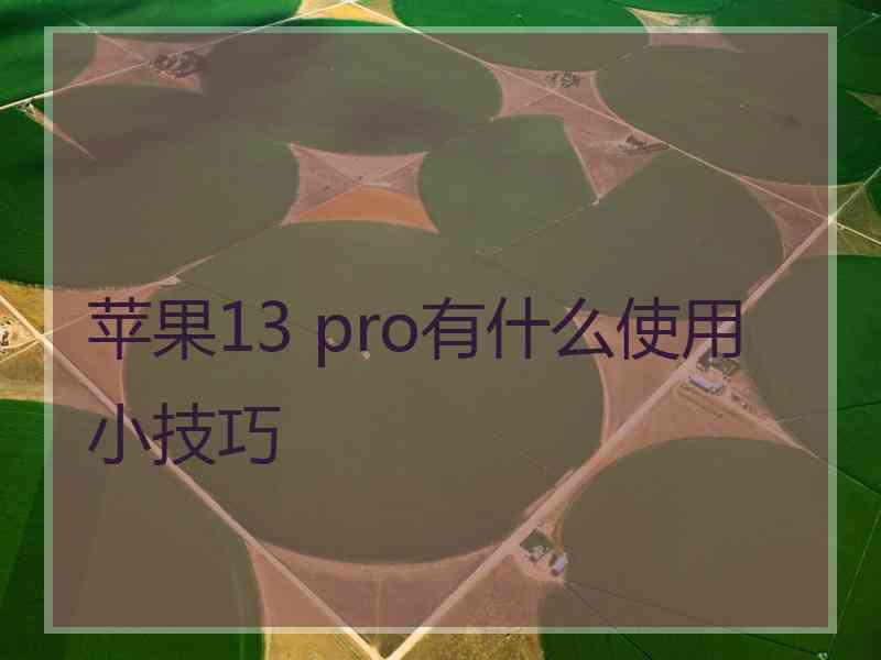 苹果13 pro有什么使用小技巧