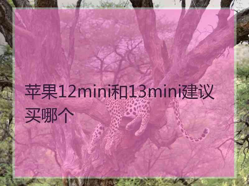 苹果12mini和13mini建议买哪个