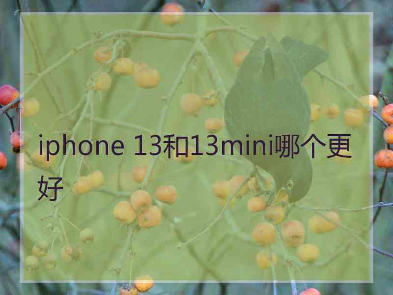 iphone 13和13mini哪个更好