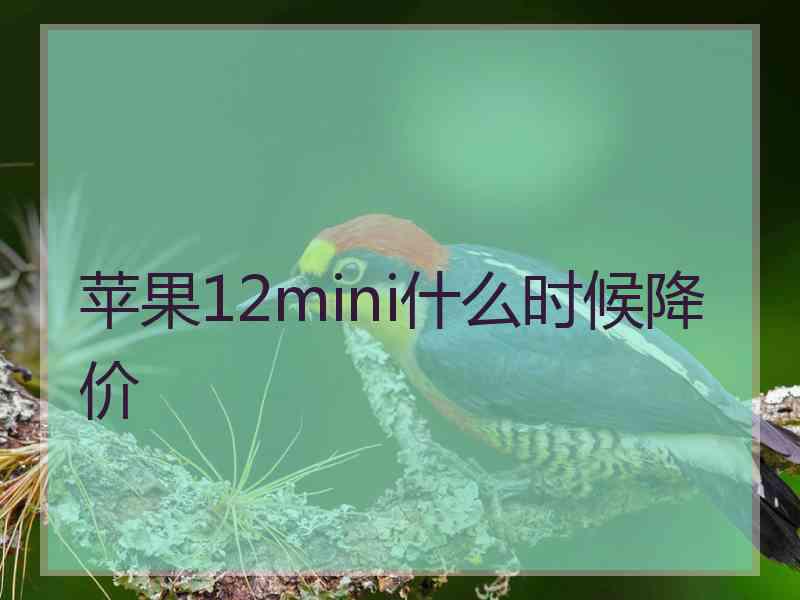 苹果12mini什么时候降价