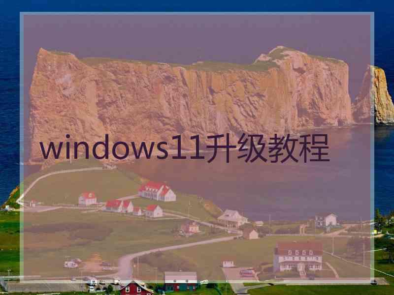 windows11升级教程