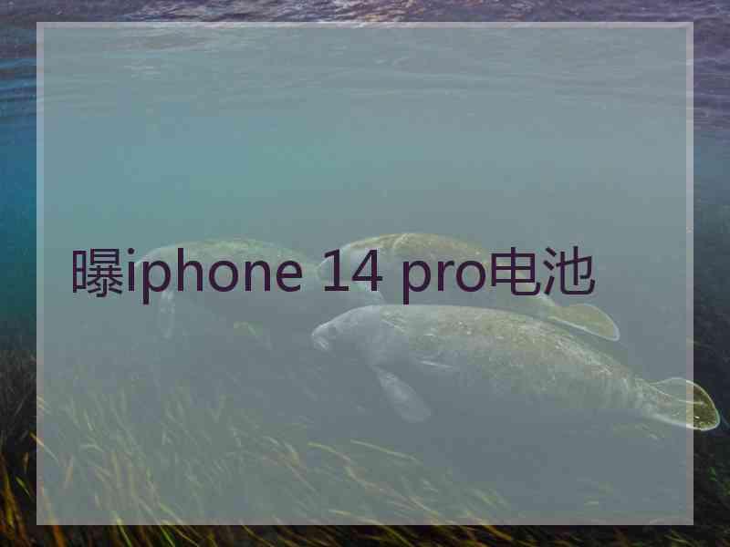 曝iphone 14 pro电池