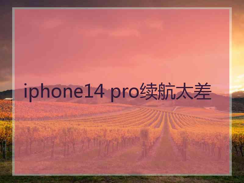 iphone14 pro续航太差