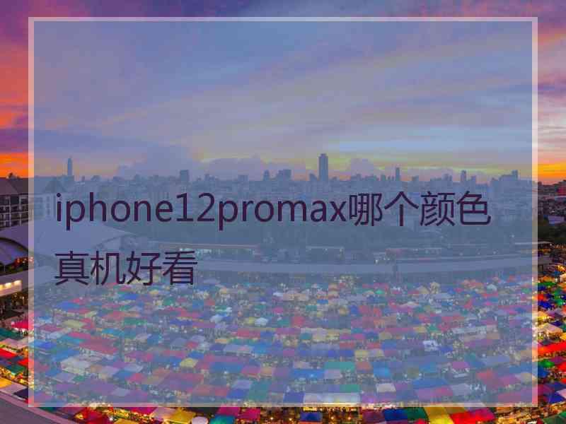 iphone12promax哪个颜色真机好看