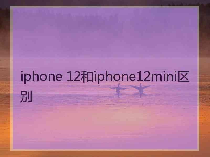 iphone 12和iphone12mini区别