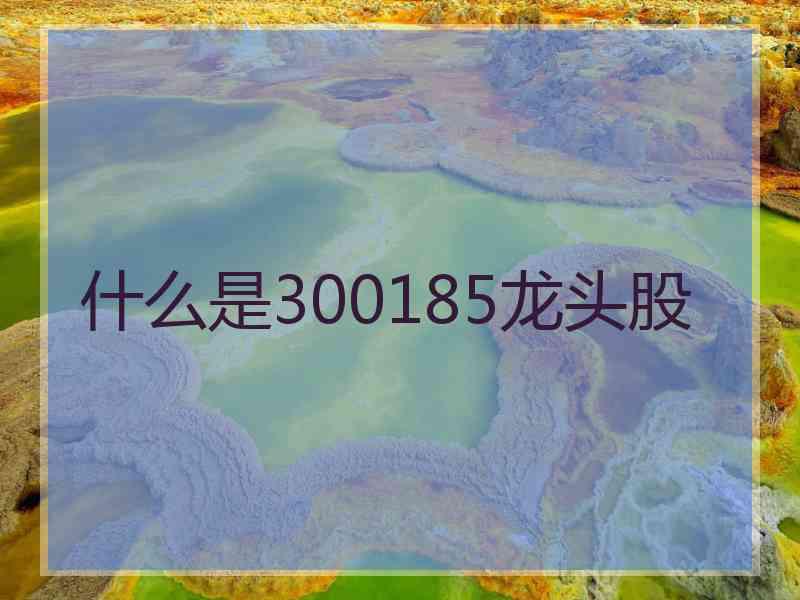 什么是300185龙头股