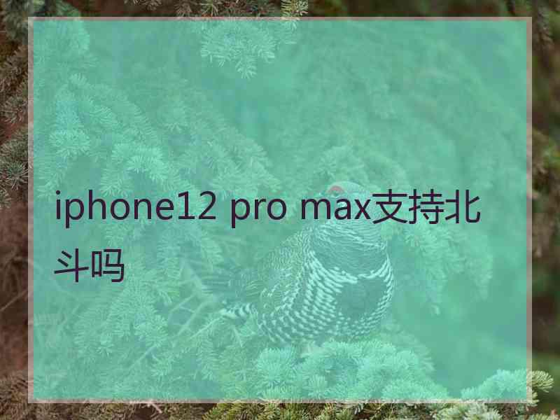 iphone12 pro max支持北斗吗