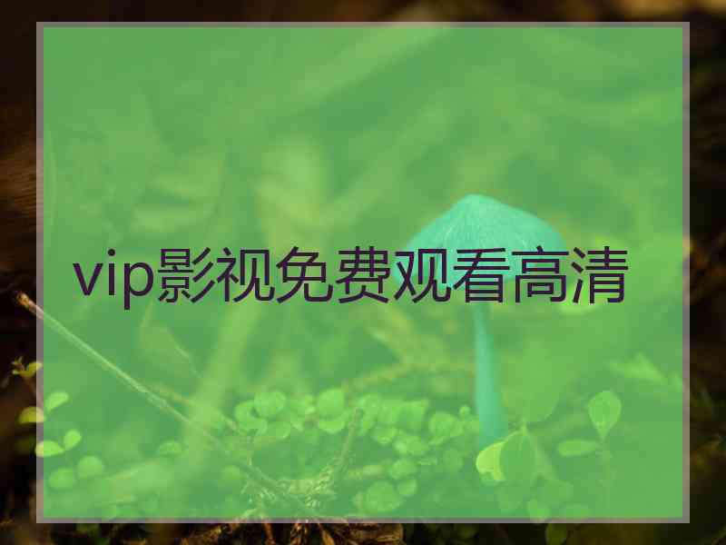 vip影视免费观看高清