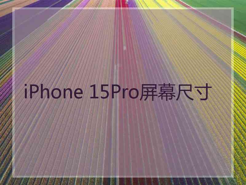 iPhone 15Pro屏幕尺寸