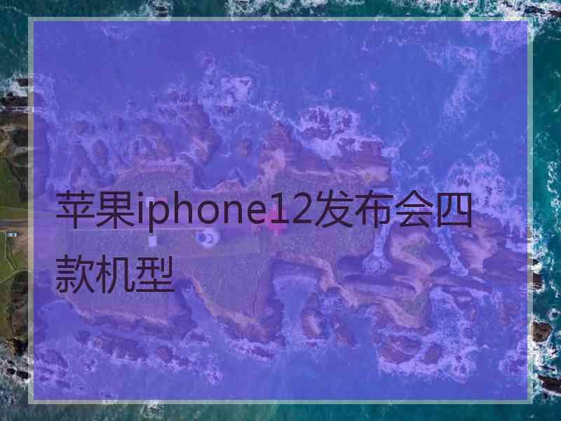 苹果iphone12发布会四款机型