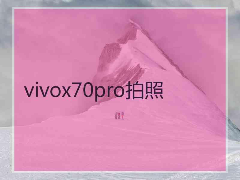 vivox70pro拍照