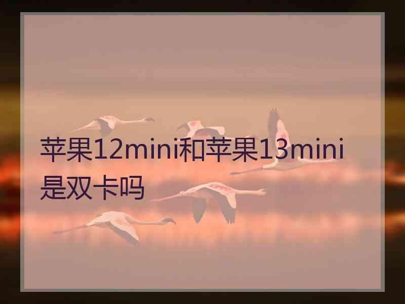 苹果12mini和苹果13mini是双卡吗