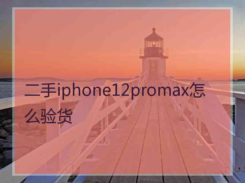 二手iphone12promax怎么验货