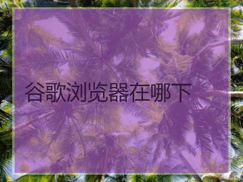 谷歌浏览器在哪下