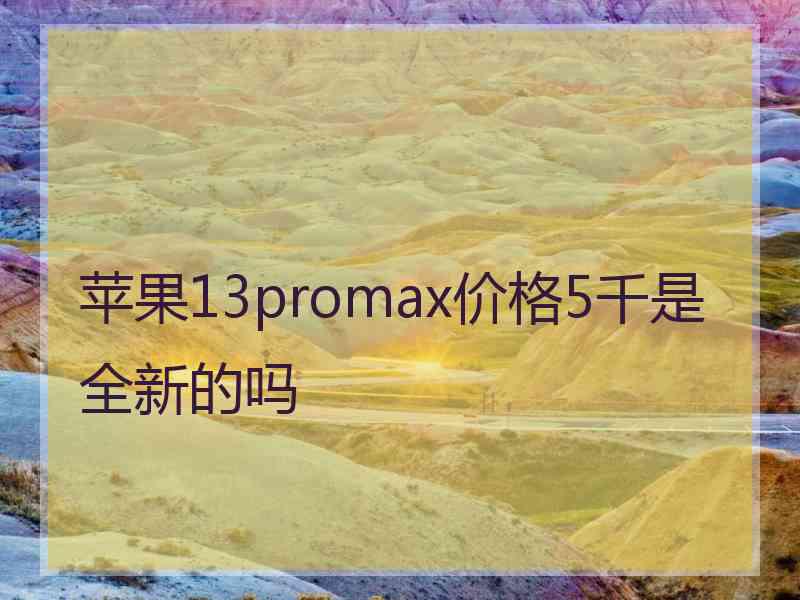 苹果13promax价格5千是全新的吗