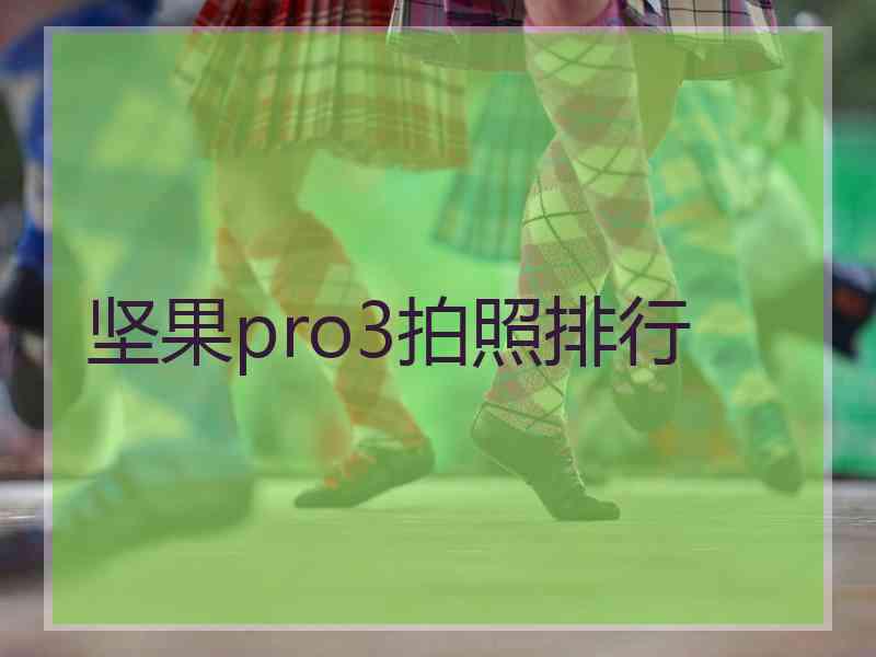 坚果pro3拍照排行