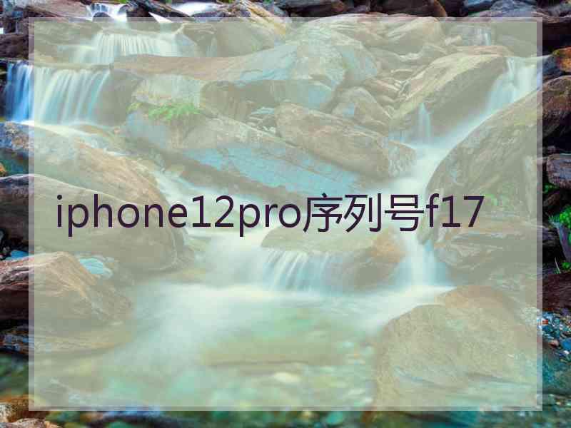 iphone12pro序列号f17