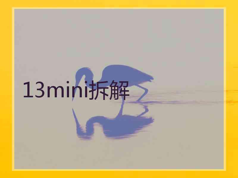 13mini拆解