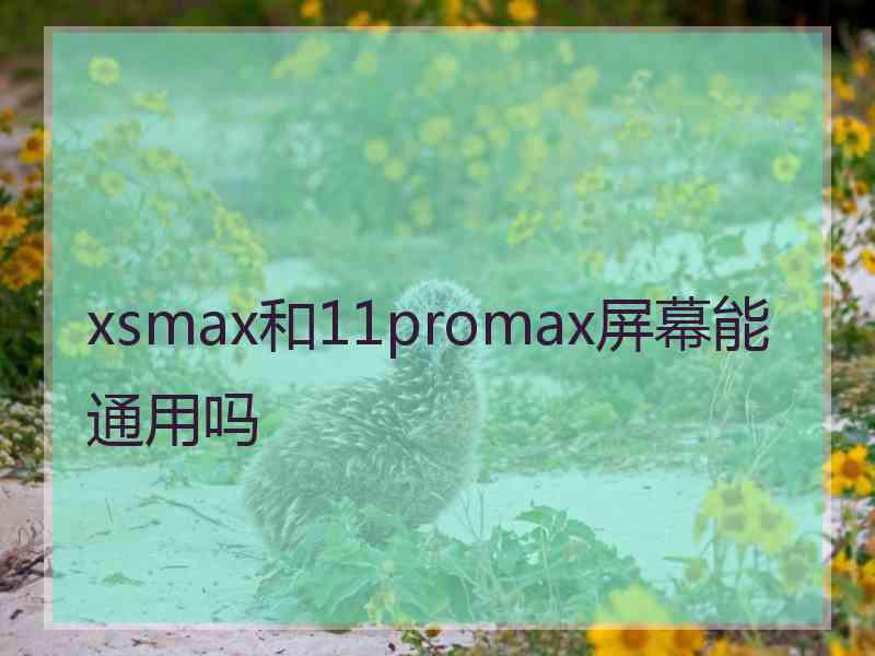 xsmax和11promax屏幕能通用吗