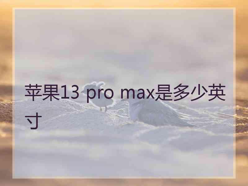 苹果13 pro max是多少英寸