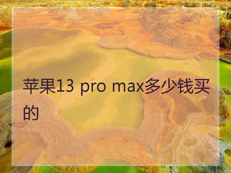 苹果13 pro max多少钱买的