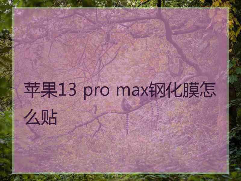 苹果13 pro max钢化膜怎么贴