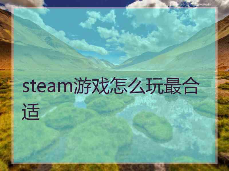 steam游戏怎么玩最合适