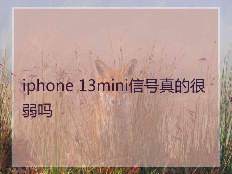 iphone 13mini信号真的很弱吗