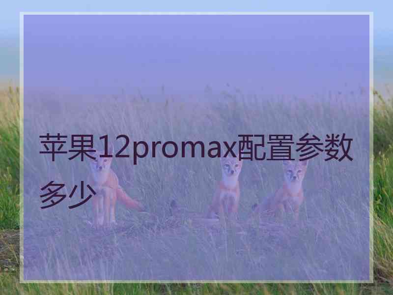 苹果12promax配置参数多少