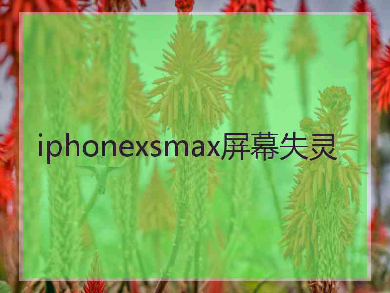 iphonexsmax屏幕失灵