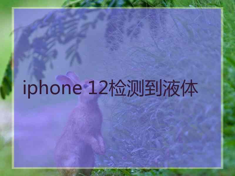 iphone 12检测到液体