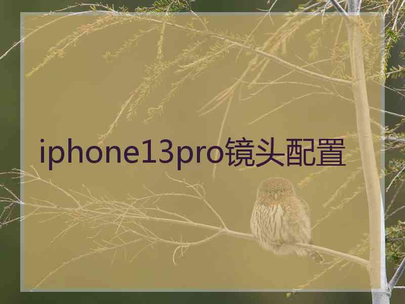 iphone13pro镜头配置