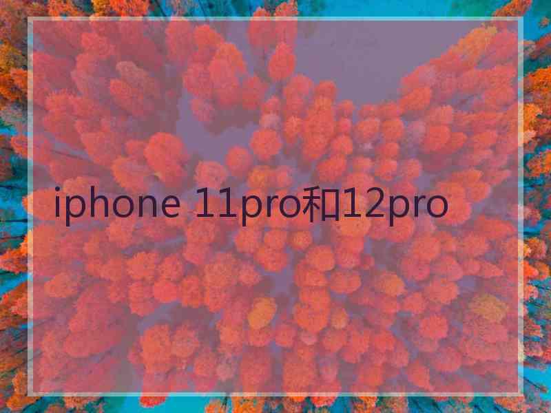 iphone 11pro和12pro