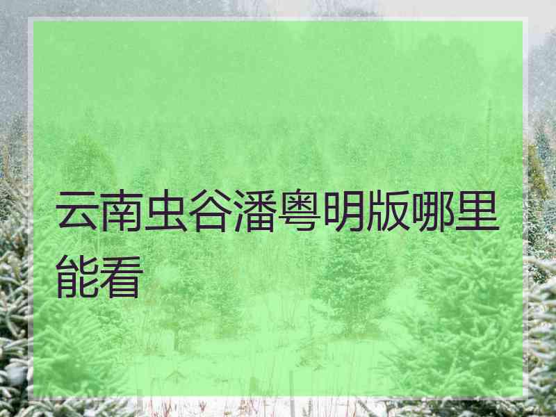 云南虫谷潘粤明版哪里能看