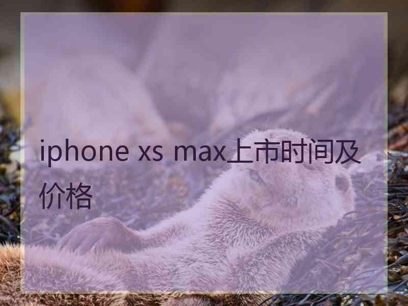 iphone xs max上市时间及价格