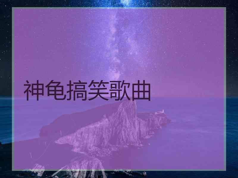 神龟搞笑歌曲