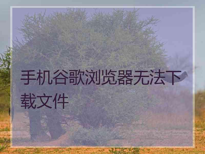 手机谷歌浏览器无法下载文件