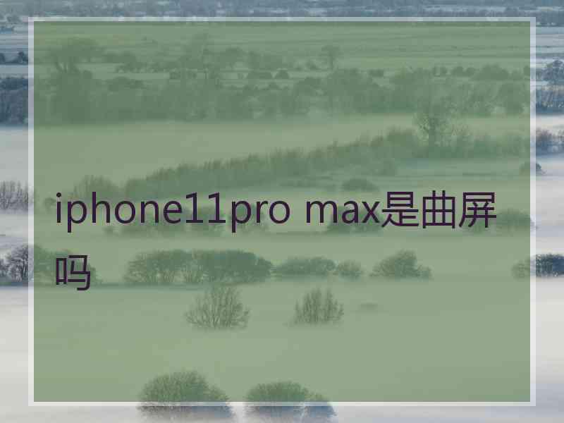 iphone11pro max是曲屏吗