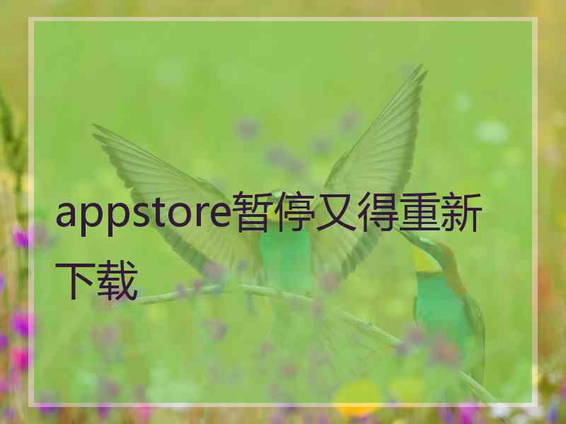 appstore暂停又得重新下载